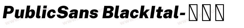 PublicSans BlackItal字体转换 PublicSans BlackItal字体转换